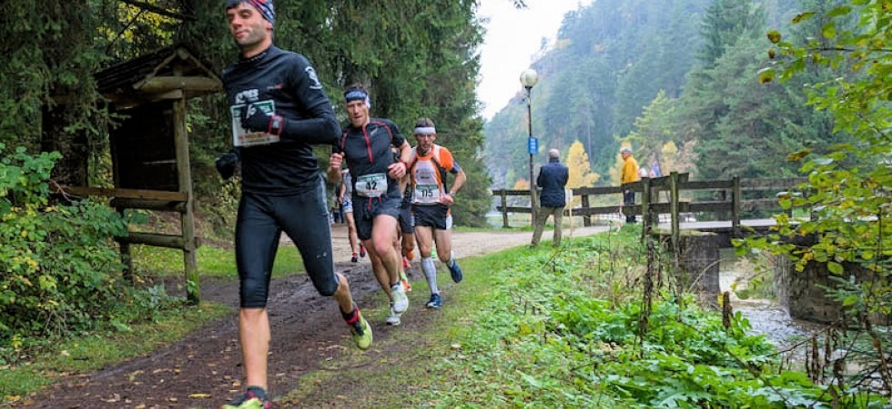 Fusioni, i cittadini della Val di Non chiamati a votare per i due nuovi comuni Borgo d’Anaunia'' e Belvedere d'Anaunia''